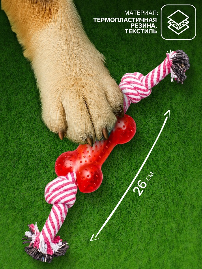 Игрушка канатная с косточкой, до 90 г, до 26 см, микс цветов   3276096