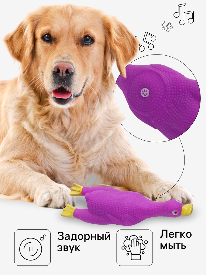 Игрушка пищащая "Летящая утка" для собак, 24 x 7 см, фиолетовая   7127482