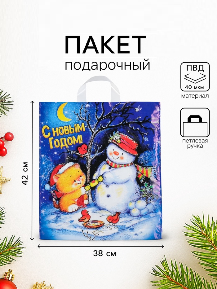 Пакет "Вечерок", полиэтиленовый с петлевой ручкой 38 х 42 см, 40 мкм   4455035