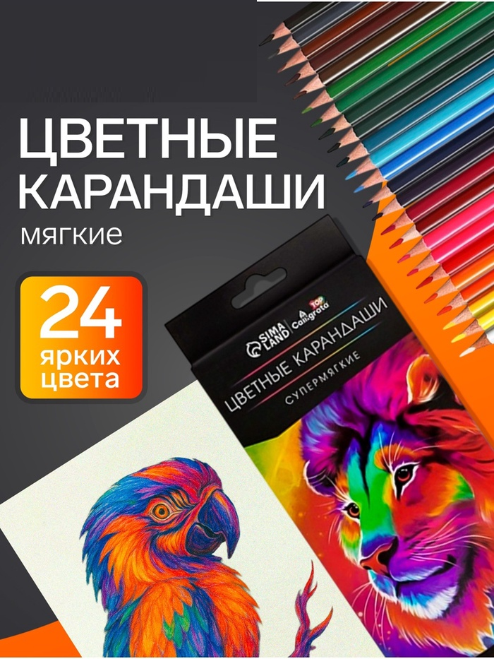 Карандаши 24 цветов в картонной коробке, грифель d -3мм, 5B, TOP Calligrata   9936027