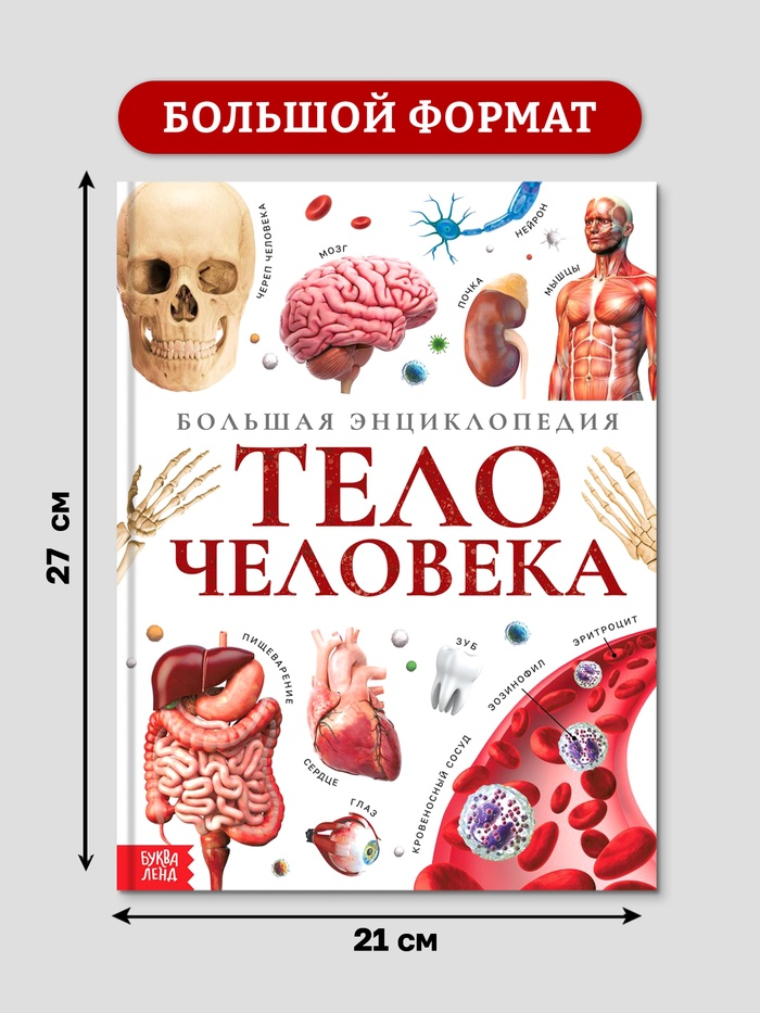 Энциклопедия в твёрдом переплёте «Строение тела человека», 128 страниц.   10571537