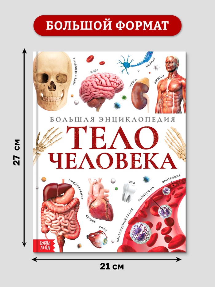 Энциклопедия в твёрдом переплёте «Строение тела человека», 128 страниц.   10571537