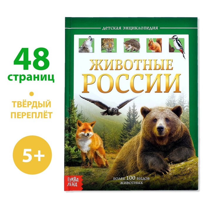 Детская энциклопедия в твёрдом переплёте «Животные России» 4170823