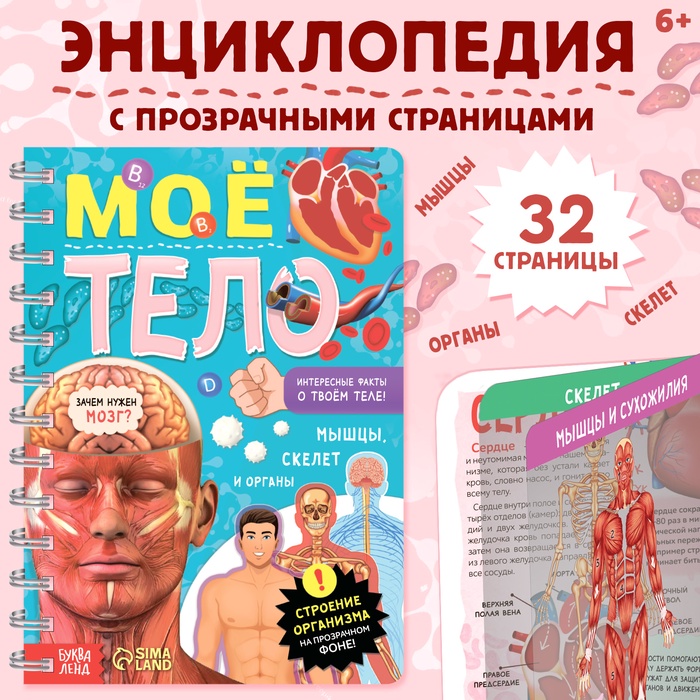 Энциклопедия с прозрачными страницами «Моё тело», 32 стр.   7041125