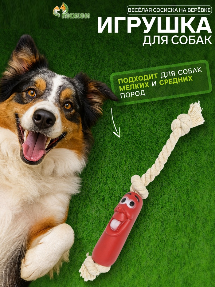 Игрушка «Весёлая сосиска на верёвке» для собак, 14 см   7121451