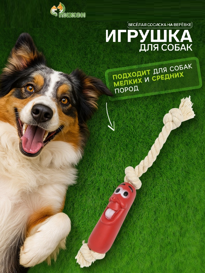 Игрушка «Весёлая сосиска на верёвке» для собак, 14 см   7121451
