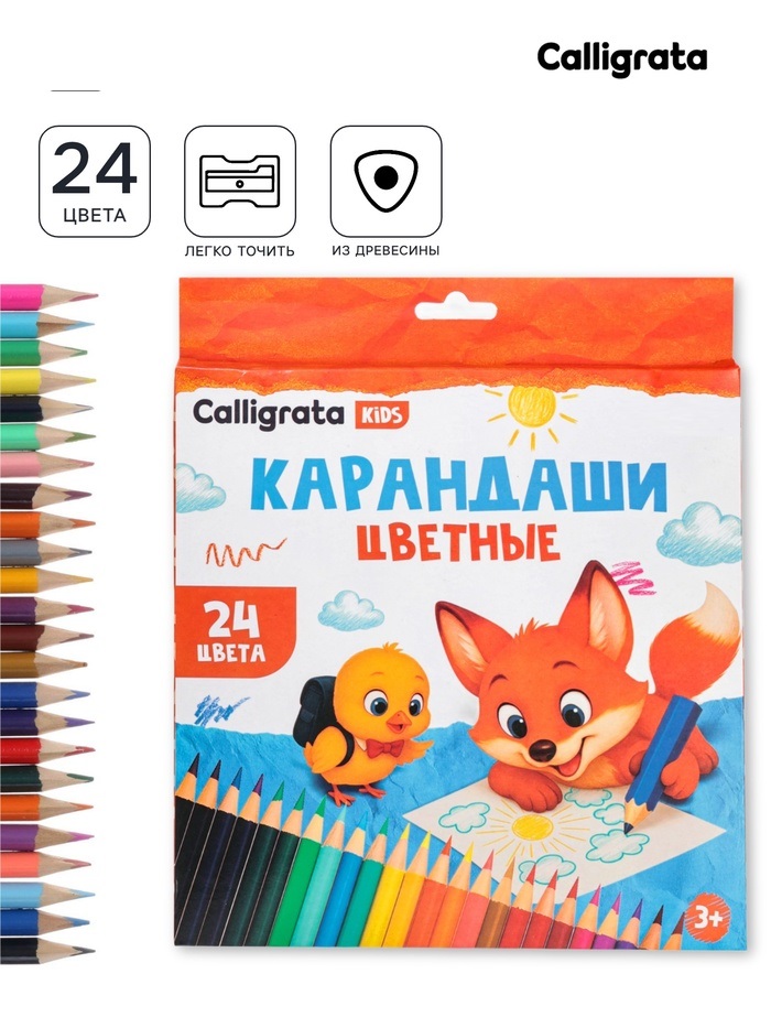 Карандаши 24цв, Calligrata, дерево, заточ, трехгр, коробка, европодвес 1014642