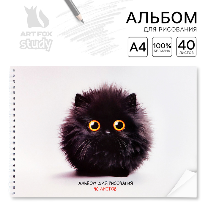 Альбом для рисования на гребне А4, 40 листов "Черный пушистик" 10183394