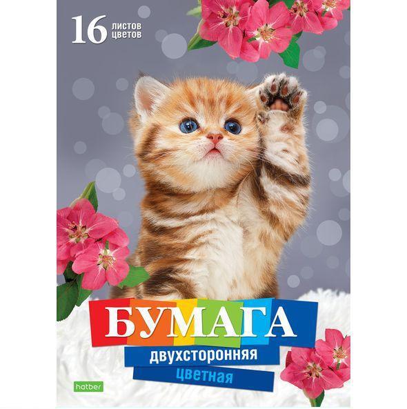 Цветная бумага двухсторонняя А4 16л.,16цв. "Котенок" 11067736
