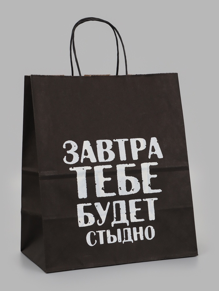 Пакет подарочный- Завтра тебе будет стыдно 24 х 14 х 28 см 11068393