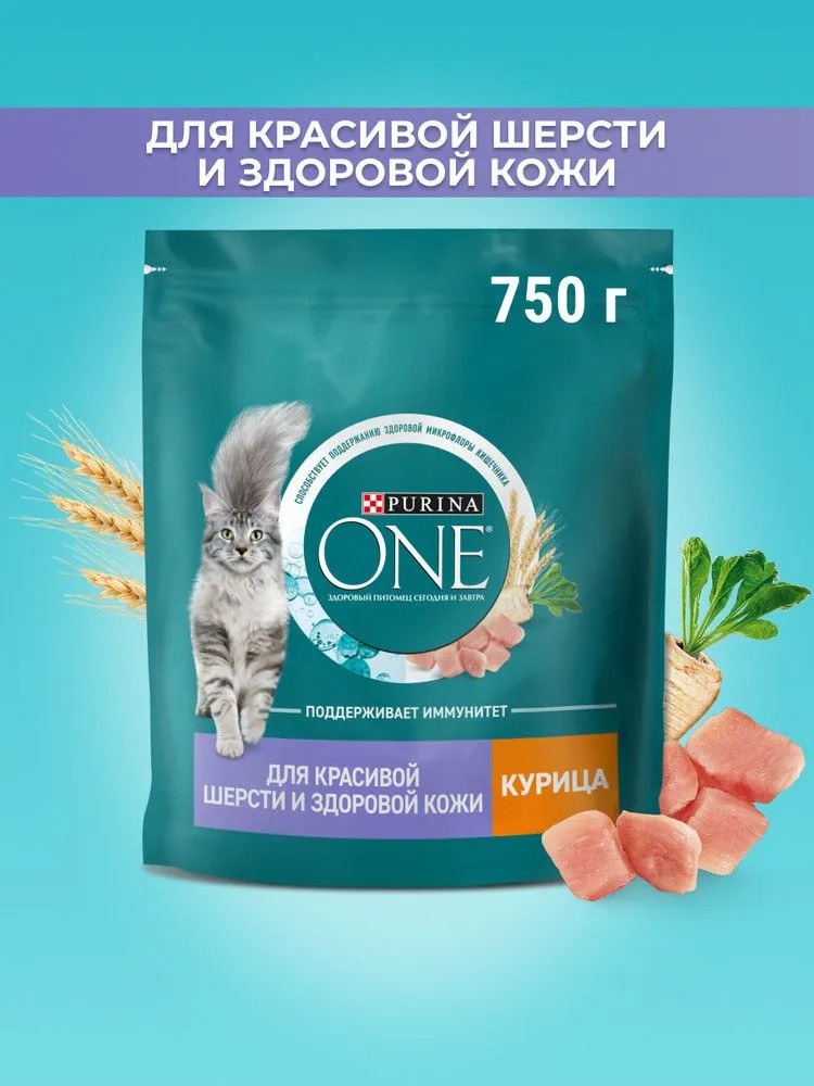 Корм сухой для кошек Purina ONE для здоровья кожи и шерсти, с курицей и цельными злаками, 750 г