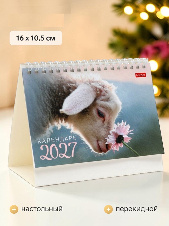 Календарь домик настольный 16х10,5см, "Знак Года",2027   11036887