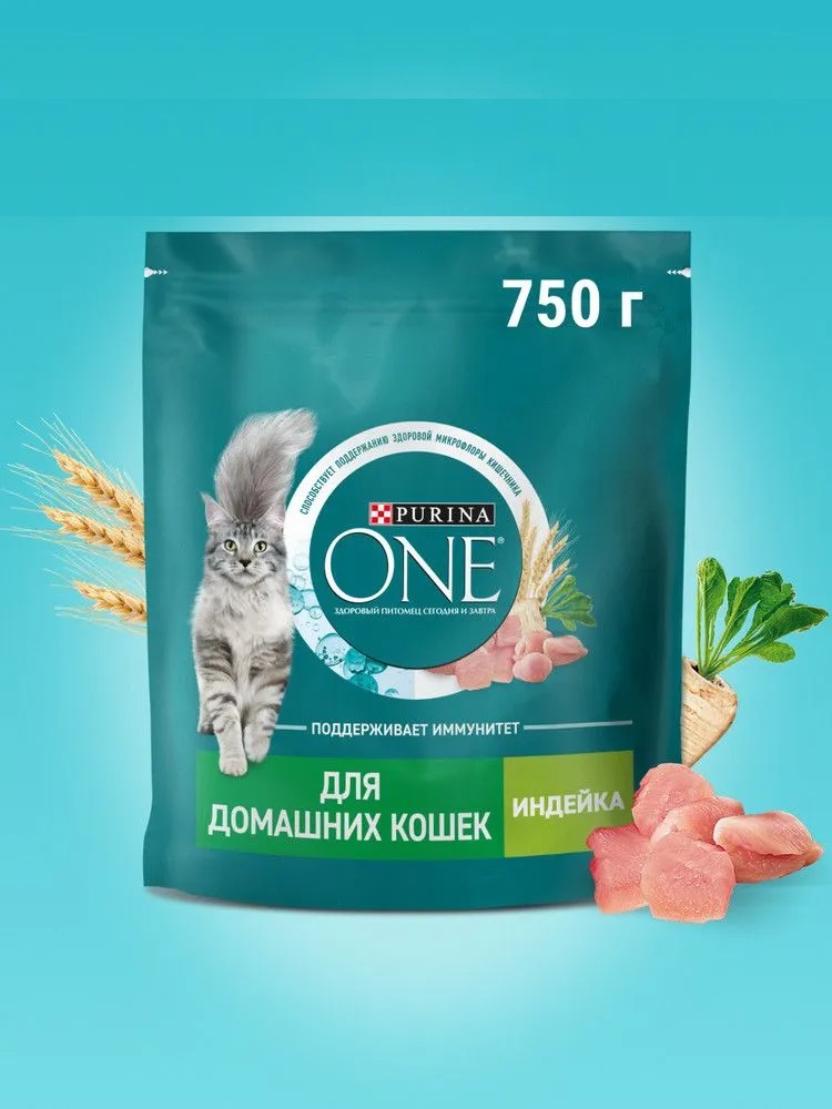 Корм сухой для кошек Purina ONE при домашнем образе жизни, с индейкой и цельными злаками, 750 г