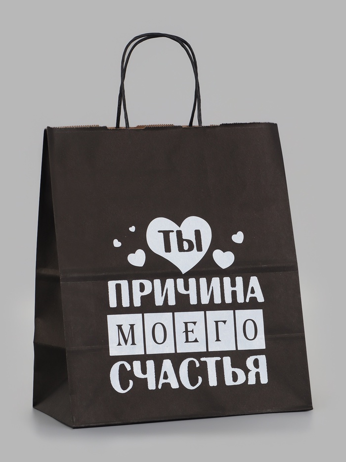 Пакет подарочный- Ты причина моего счастья 24 х 14 х 28 см 11068384