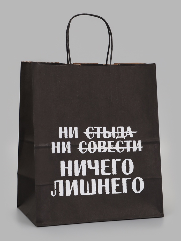 Пакет подарочный- Ни стыда ни совести Ничего лишнего 24 х 14 х 28 см 11068389