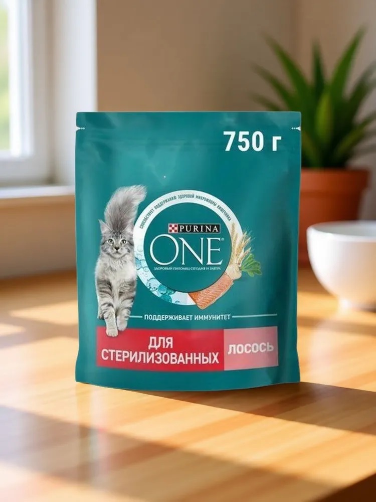 Корм сухой для кошек Purina ONE для стерилизованных, с лососем и пшеницей, 750 г